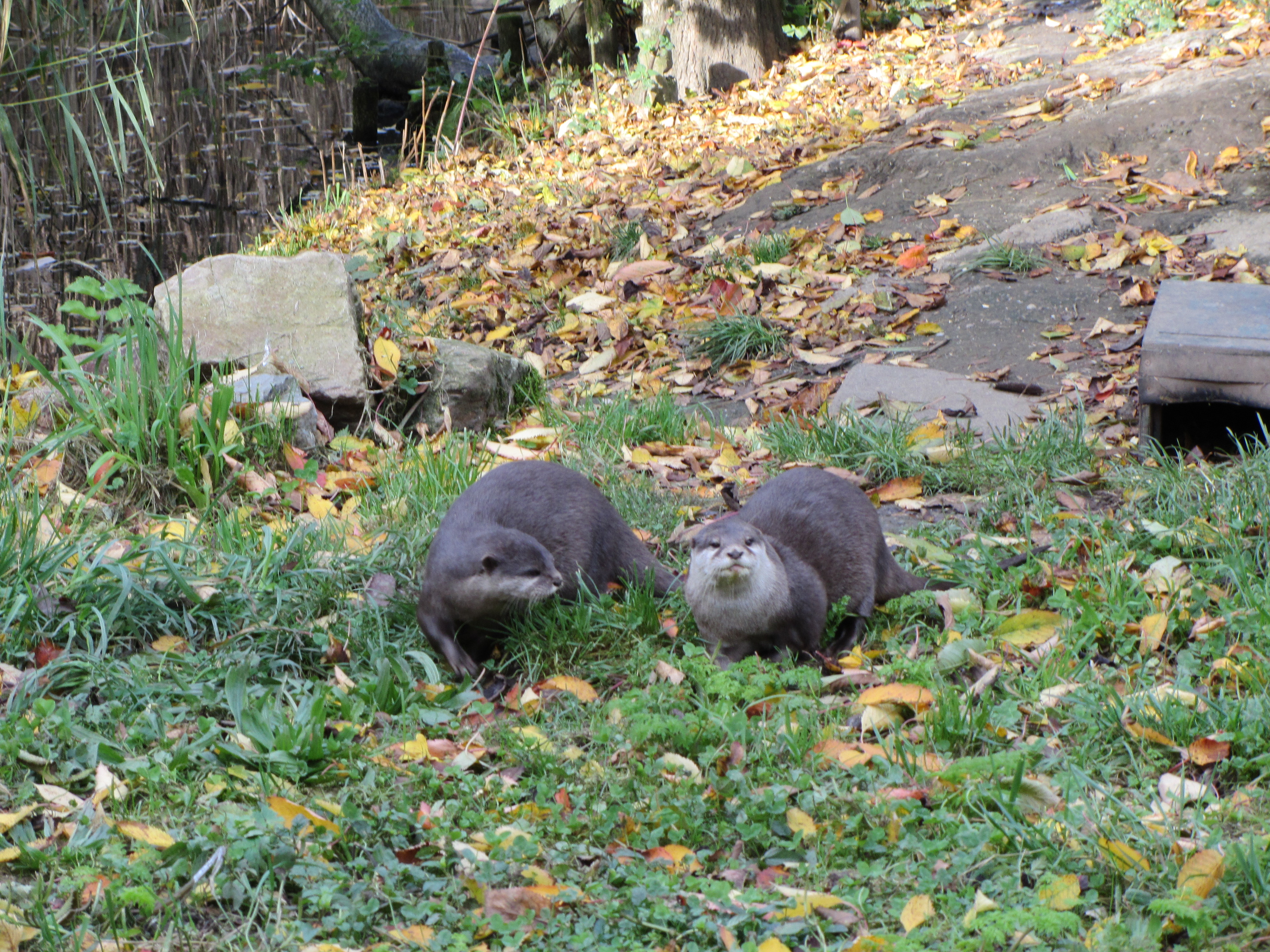 Ipad Marianne 072.JPG